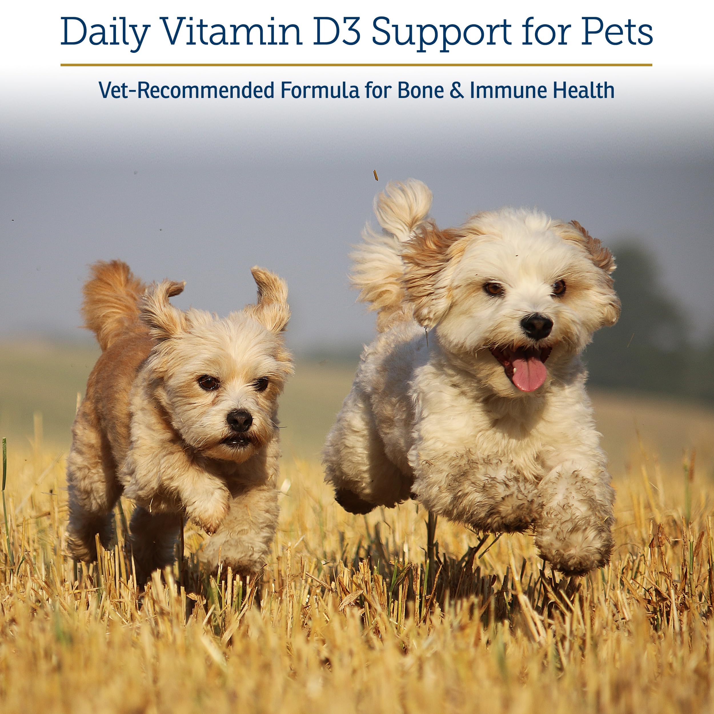 Rx D3 dropper demonstrates precise dosing for cats and dogs