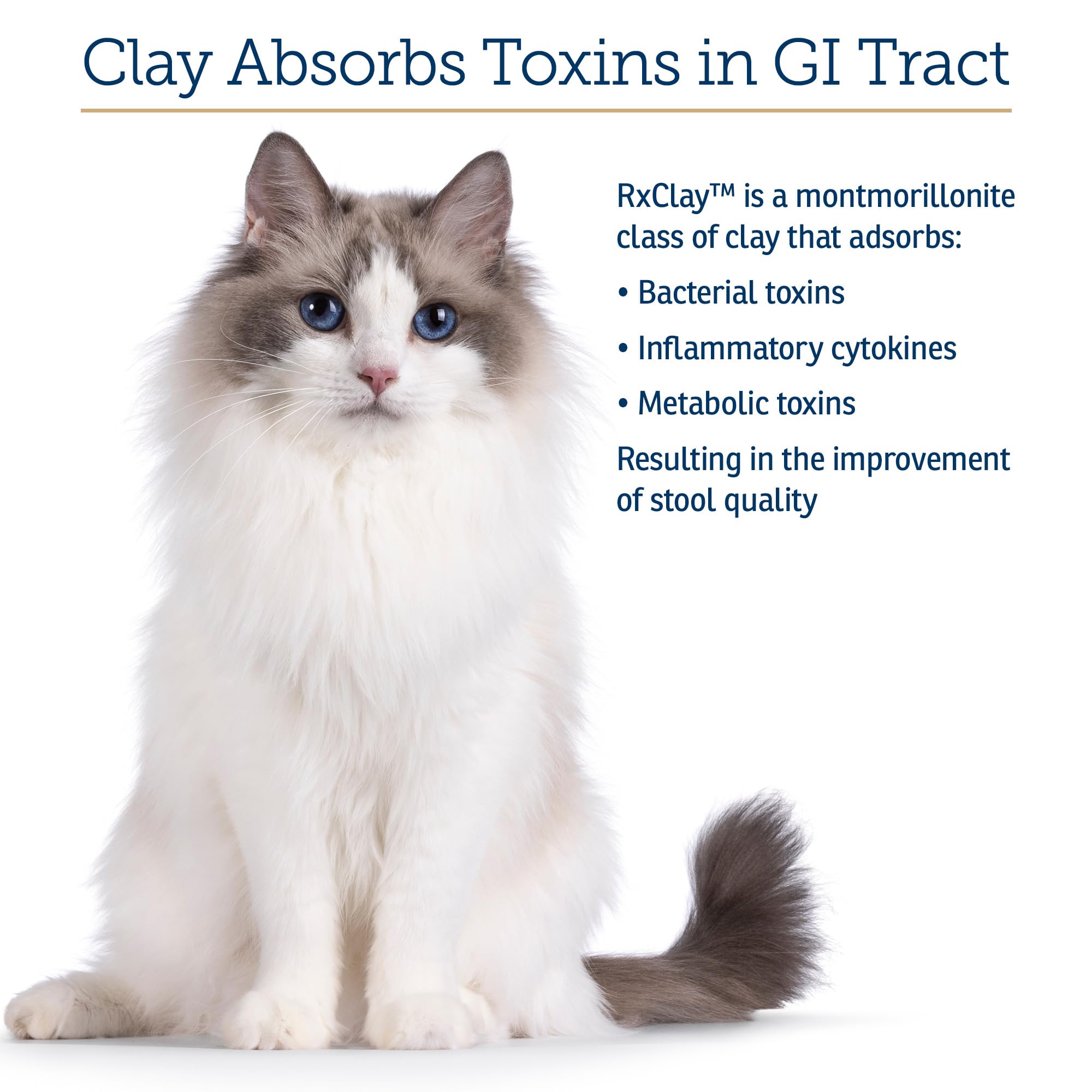 Rx Vitamins close-up of clay powder texture for natural detox support in pets.
