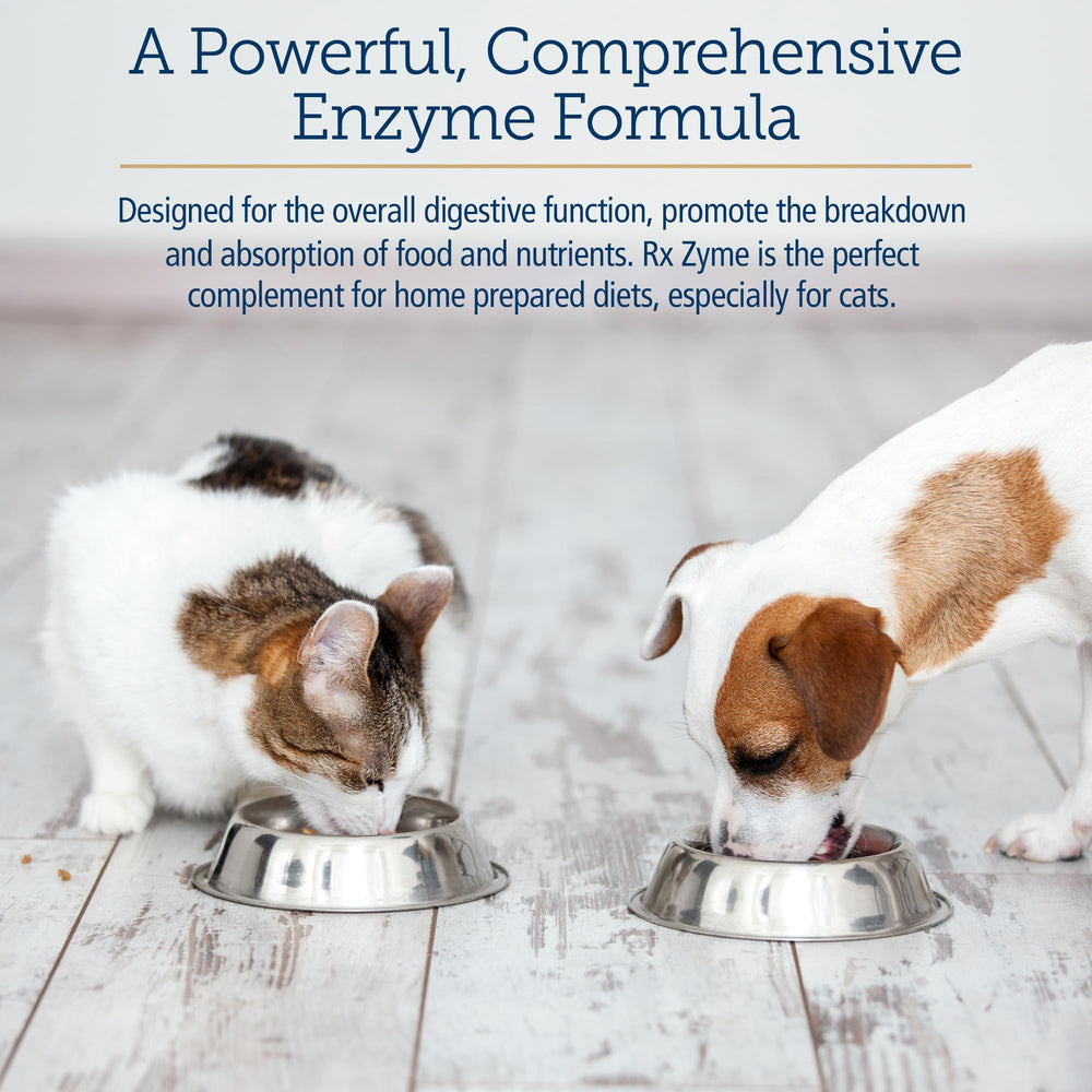 Rx Vitamins Rx Zyme Powder cat food topper supports comfortable digestion during meals.