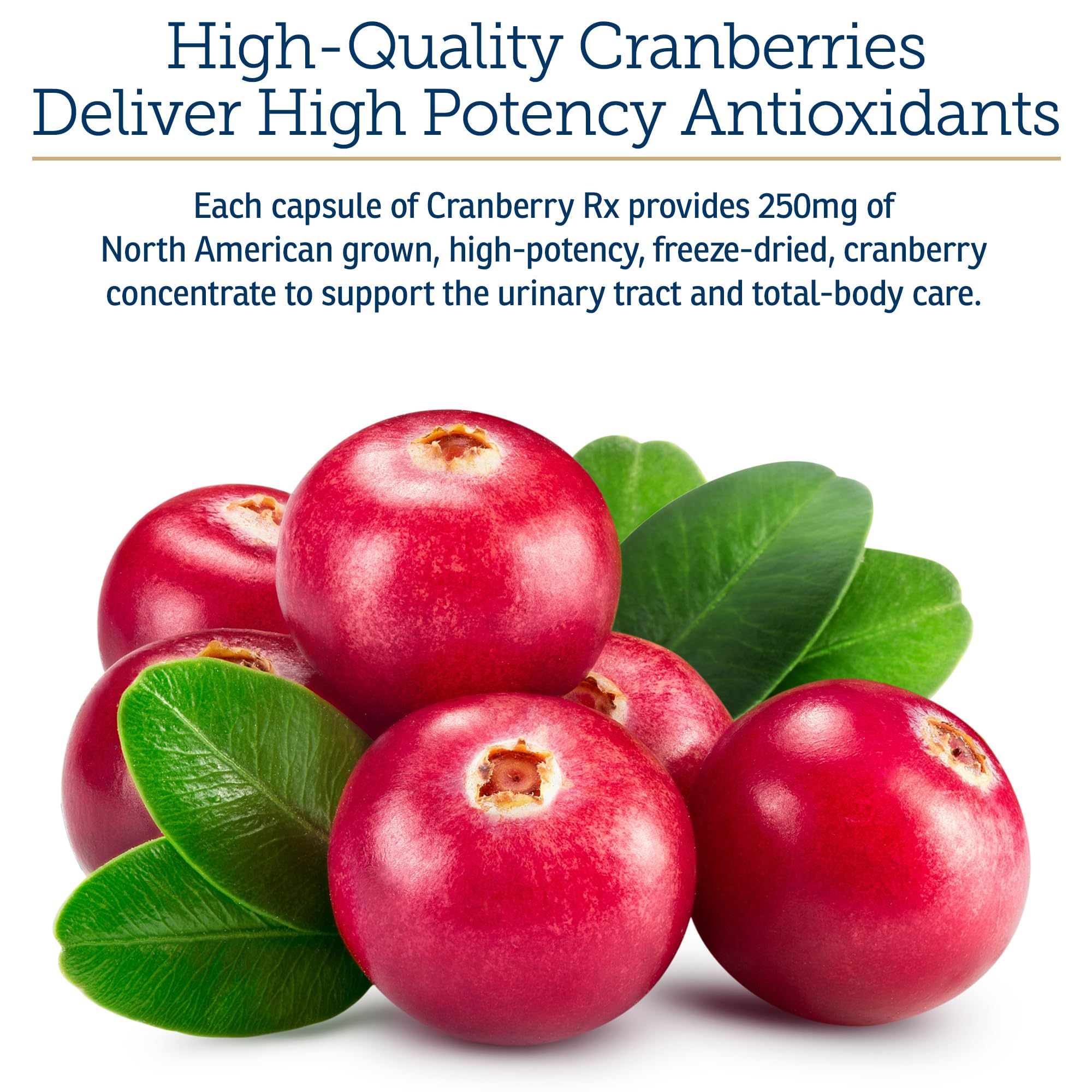 Rx Vitamins safe and natural cranberry formula free from preservatives.