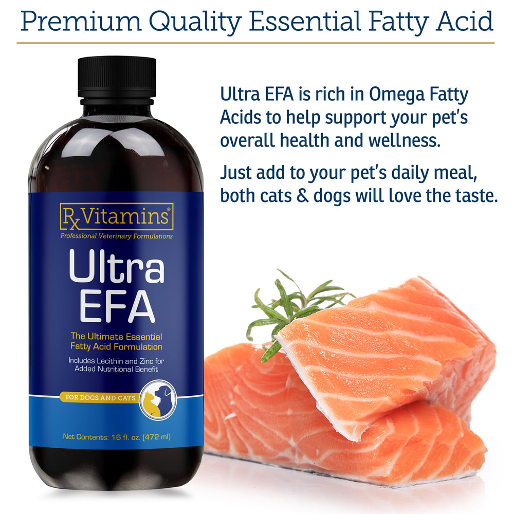 Rx Vitamins Ultra EFA Omega 3 dog coat gloss after supplement
