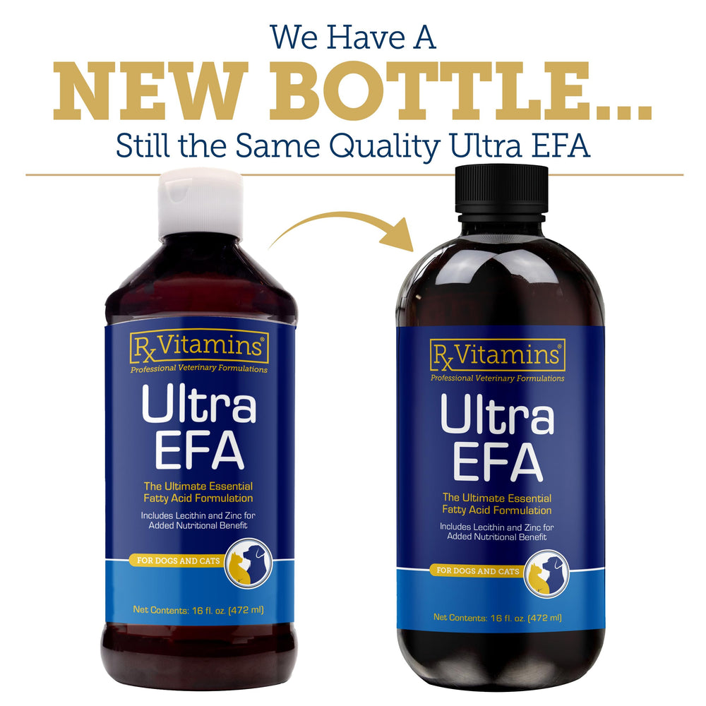 Rx Vitamins Ultra EFA Omega 3 rosemary closeup highlighting antioxidant ingredient