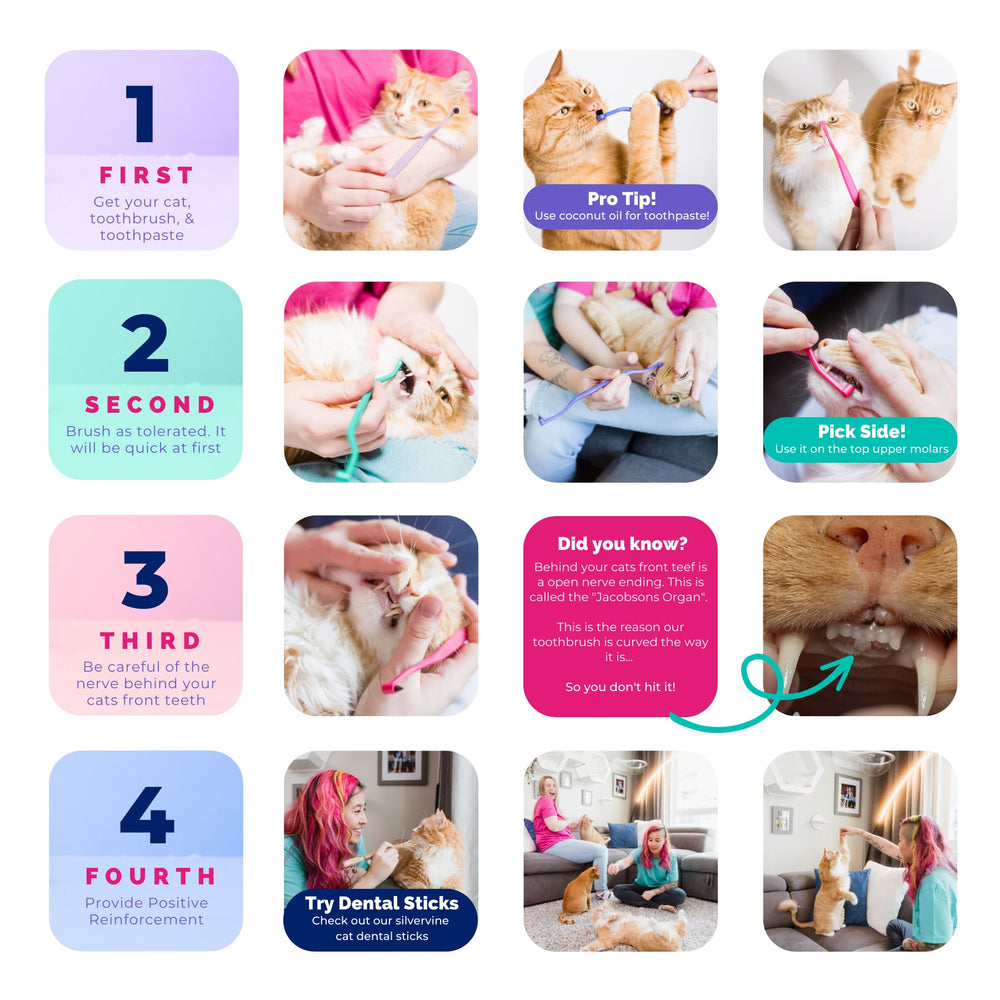 RYERCAT color options suit multi-cat homes and hygiene separation.