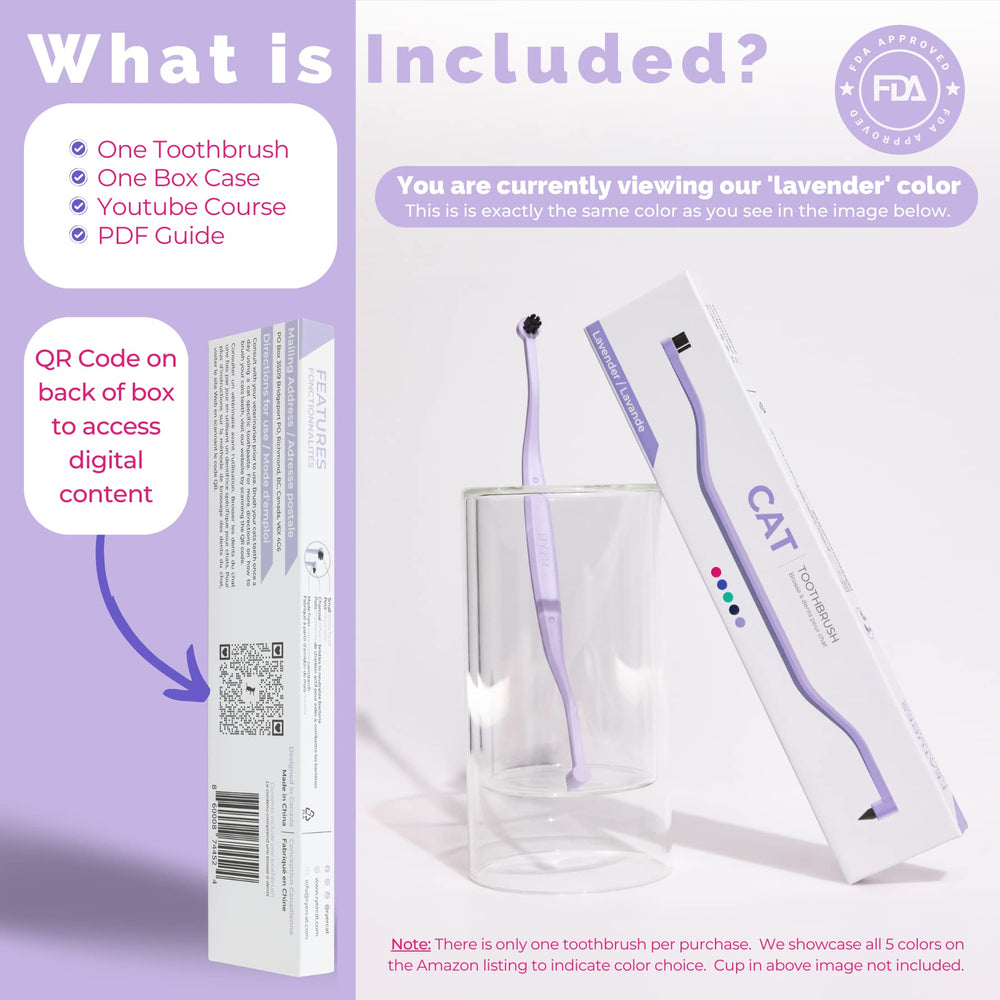 Cat brushing action with RYERCAT Lavender toothbrush in use