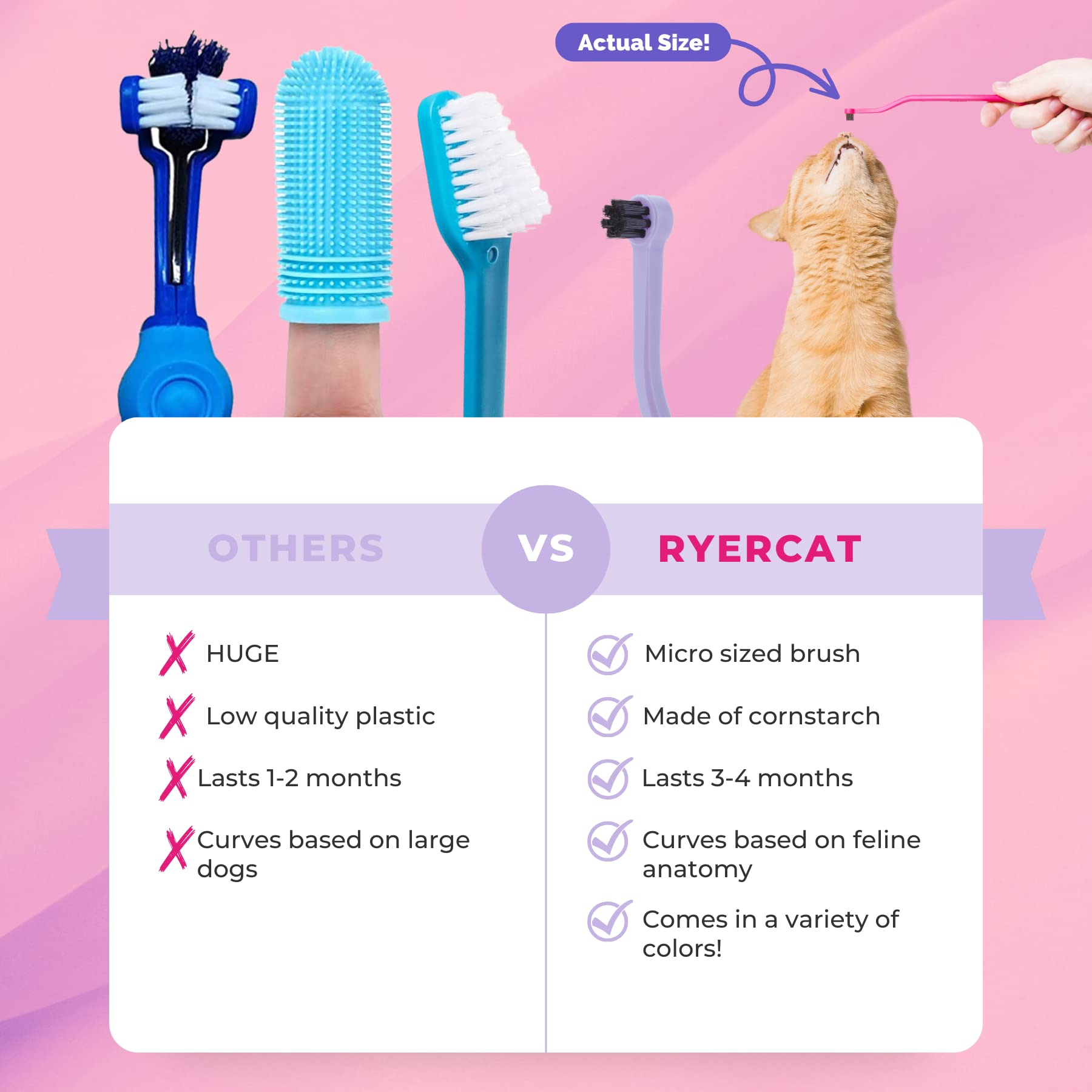 Five color options for RYERCAT Lavender toothbrush displayed together