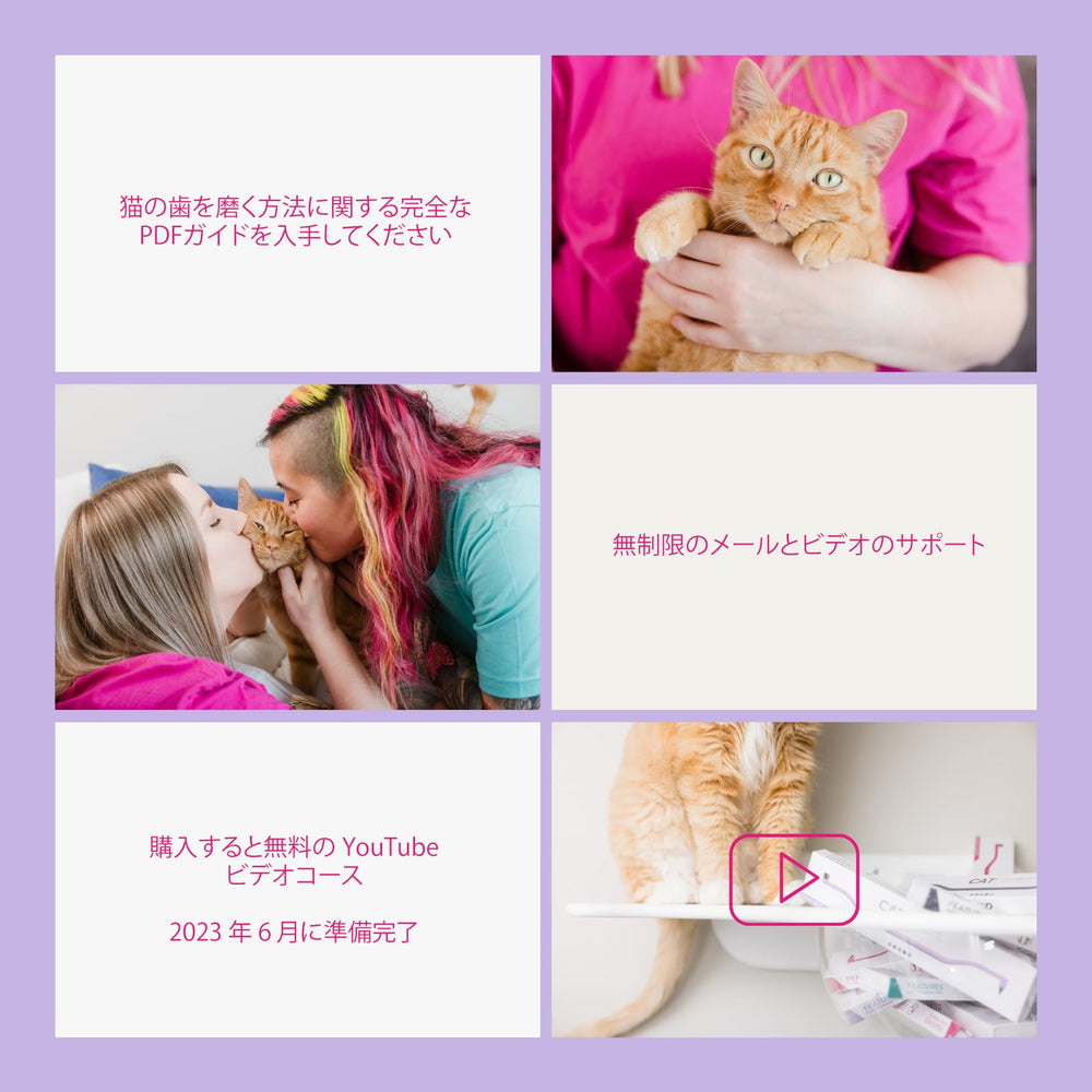 Educational resources and support from RYERCAT for brushing guidance