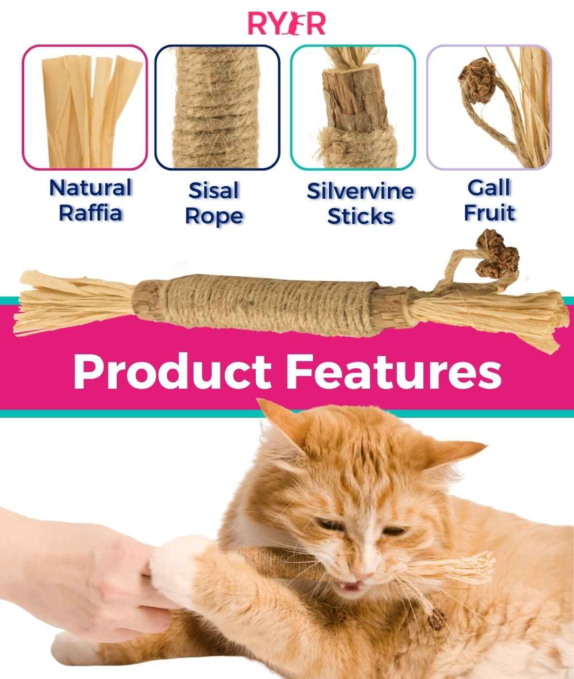 RYERCAT Silvervine Sticks for cat-teething, with a playful cat nearby.