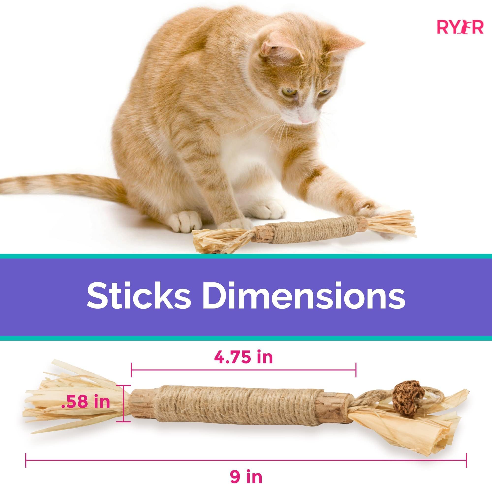RYERCAT Silvervine Sticks long-lasting chew engaged by a curious cat.