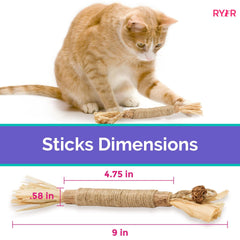 RYERCAT Silvervine Sticks long-lasting chew engaged by a curious cat.