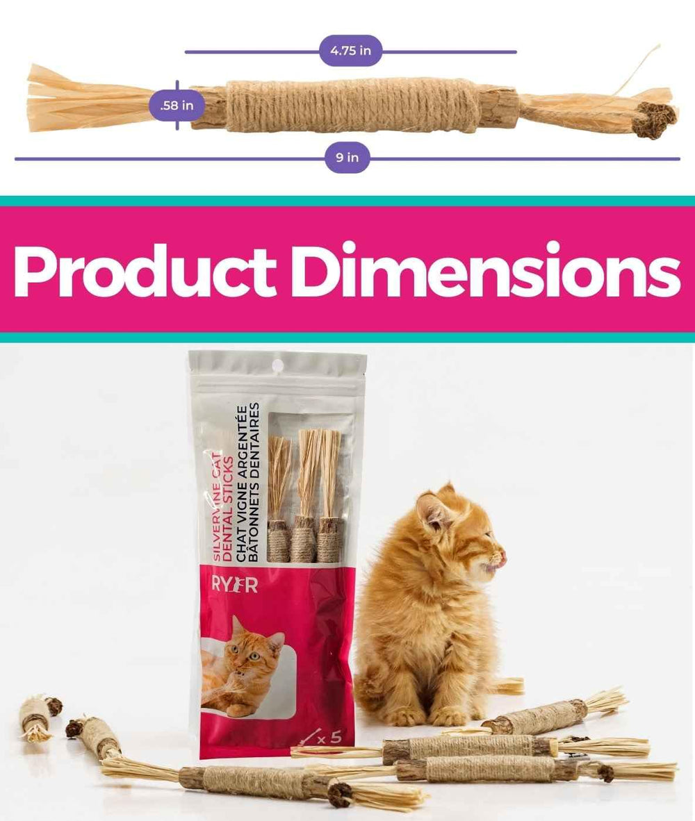 RYERCAT Silvervine Sticks as a multipurpose toy for training and fun.