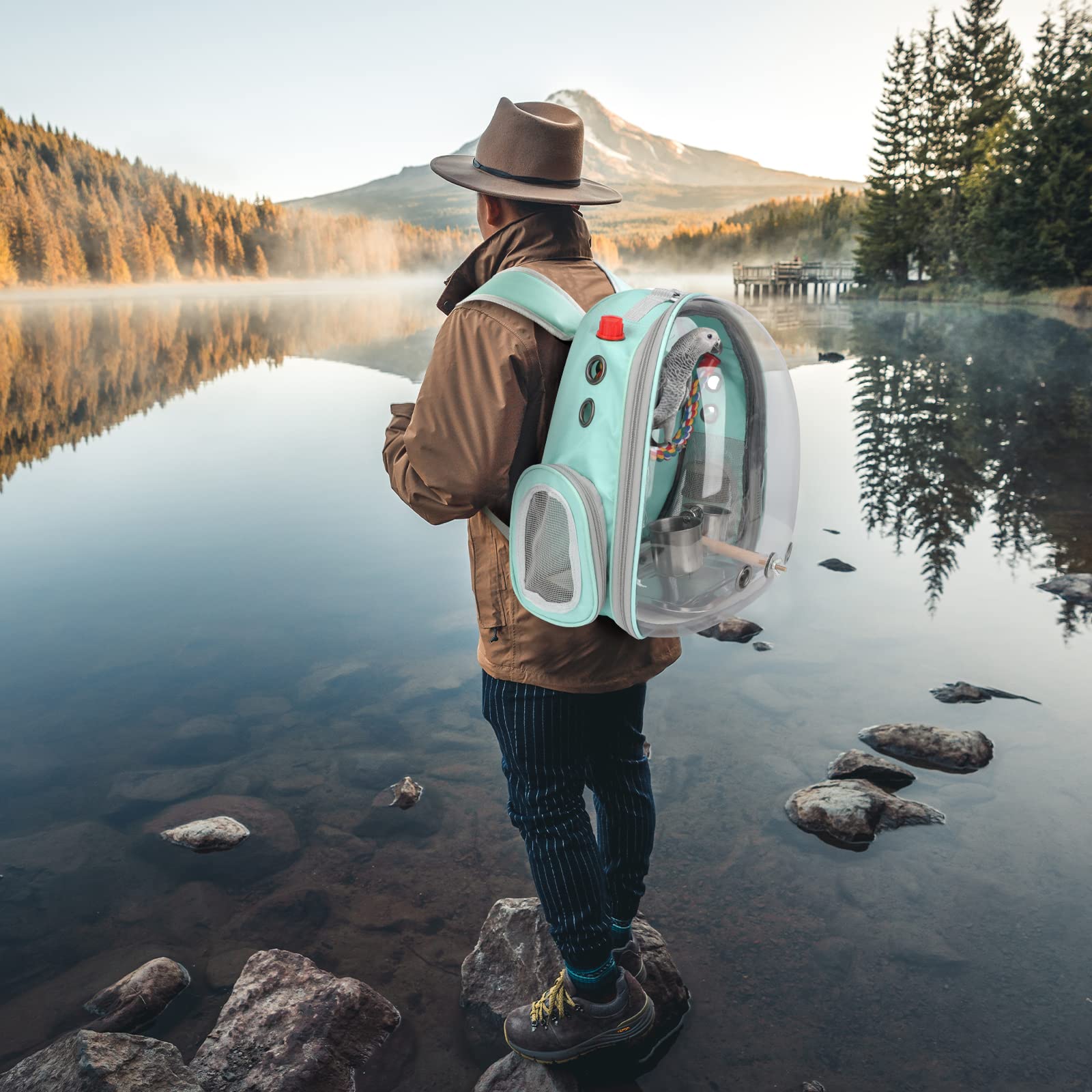Rypet travel carrier suited for trips, hikes, and vet visits