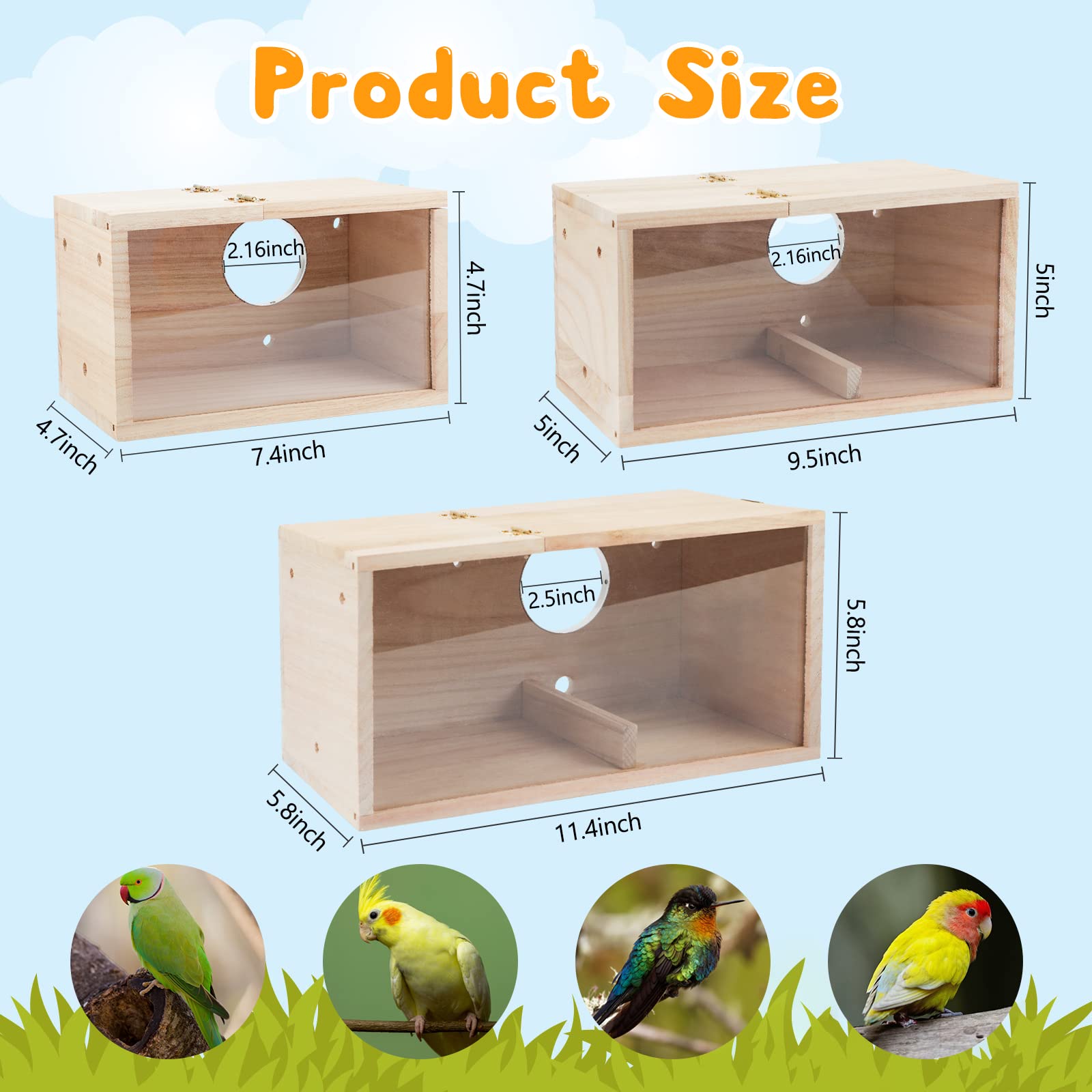 Rypet bird nesting box with perch wood for natural comfort.