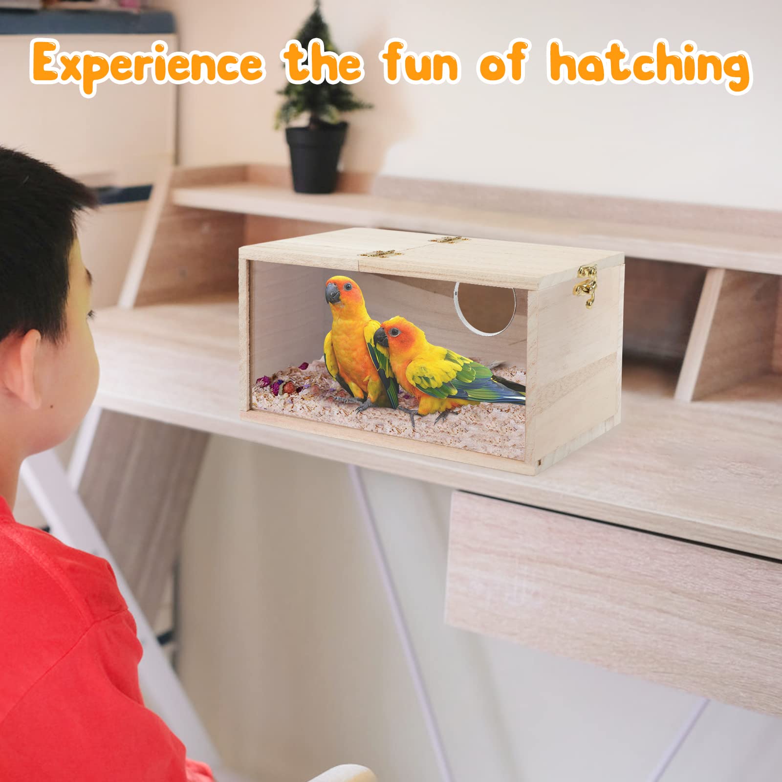 Rypet bird cage house offers a cozy nesting space.