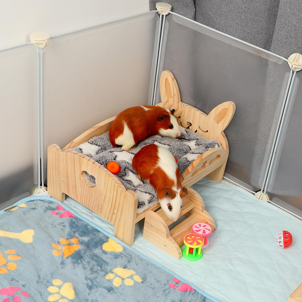 Rypet small pet habitat setup demonstrates multifunctional design for play and rest