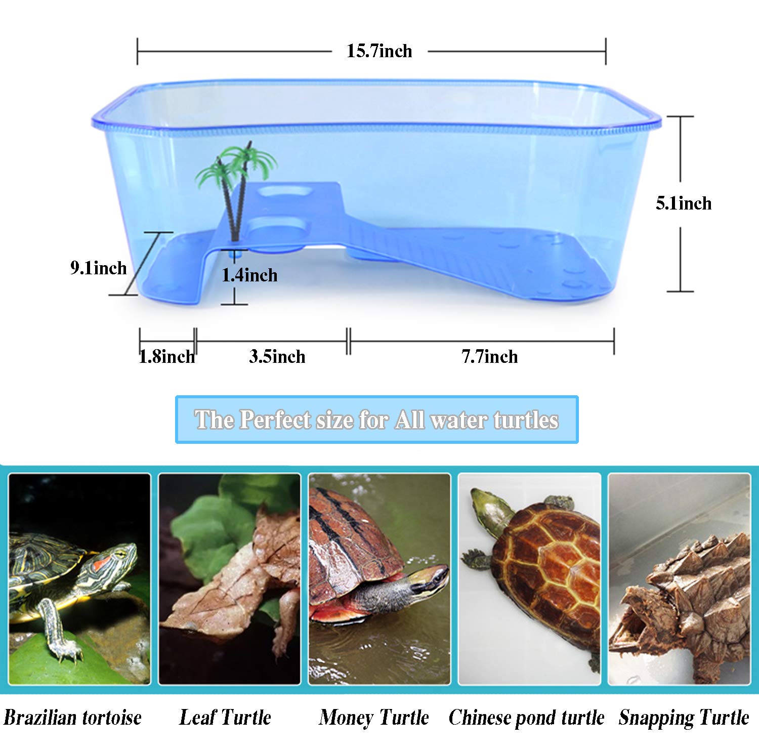 Rypet Turtle Tank anti-slip crawler area supports safe climbing