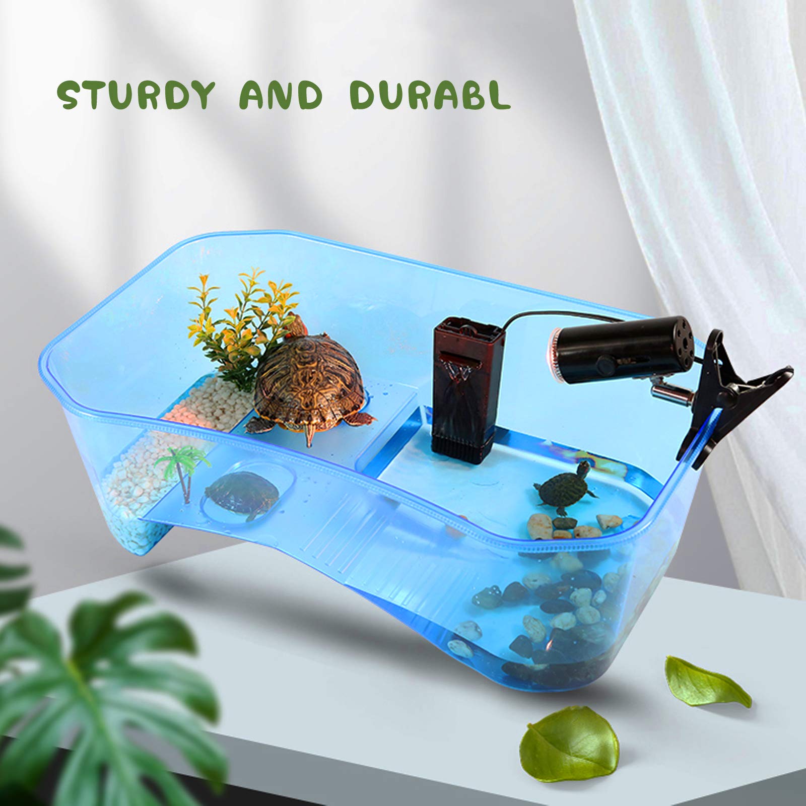 Rypet Turtle Tank swimming area for spacious aquatic activity
