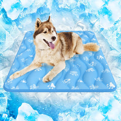 Rywell Arc-Chill 3.0 cooling mat on floor provides cool relief after play.