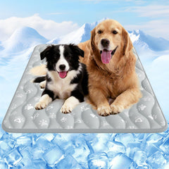 Rywell Arc-Chill 3.0 on floor providing instant pet cooling