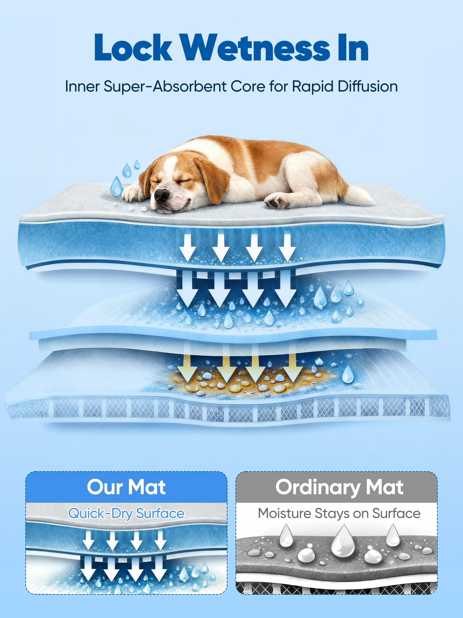Rywell color-changing dog mat showing cool zones