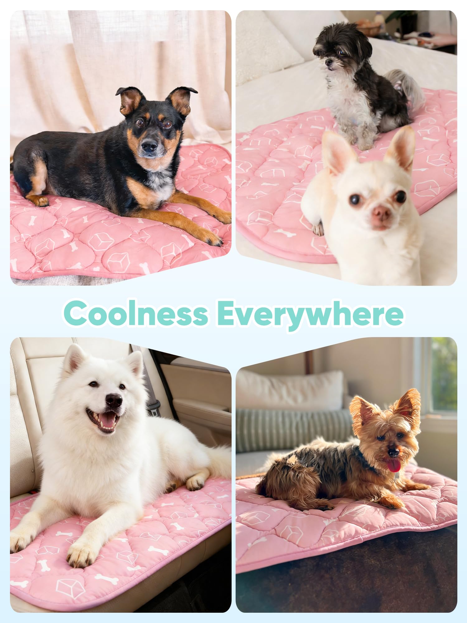 Rywell Dog Cooling Mat 2.0 car-use portable cooling on road trips.