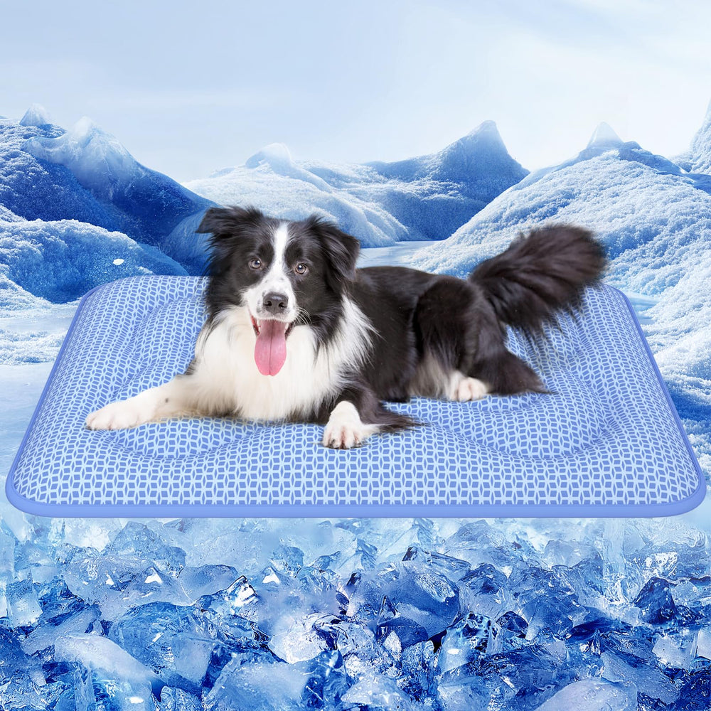 Rywell dog cooling mat with Arc-Chill 3.0 delivers lasting cool relief.