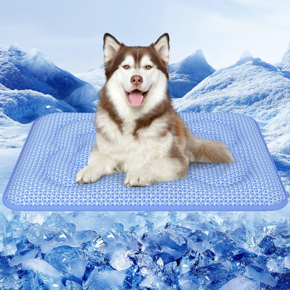 Rywell dog cooling mat with ice-blue surface shows cooling action for pets