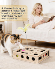 RZPTL wooden puzzle box with safe, pet-proof design for play.