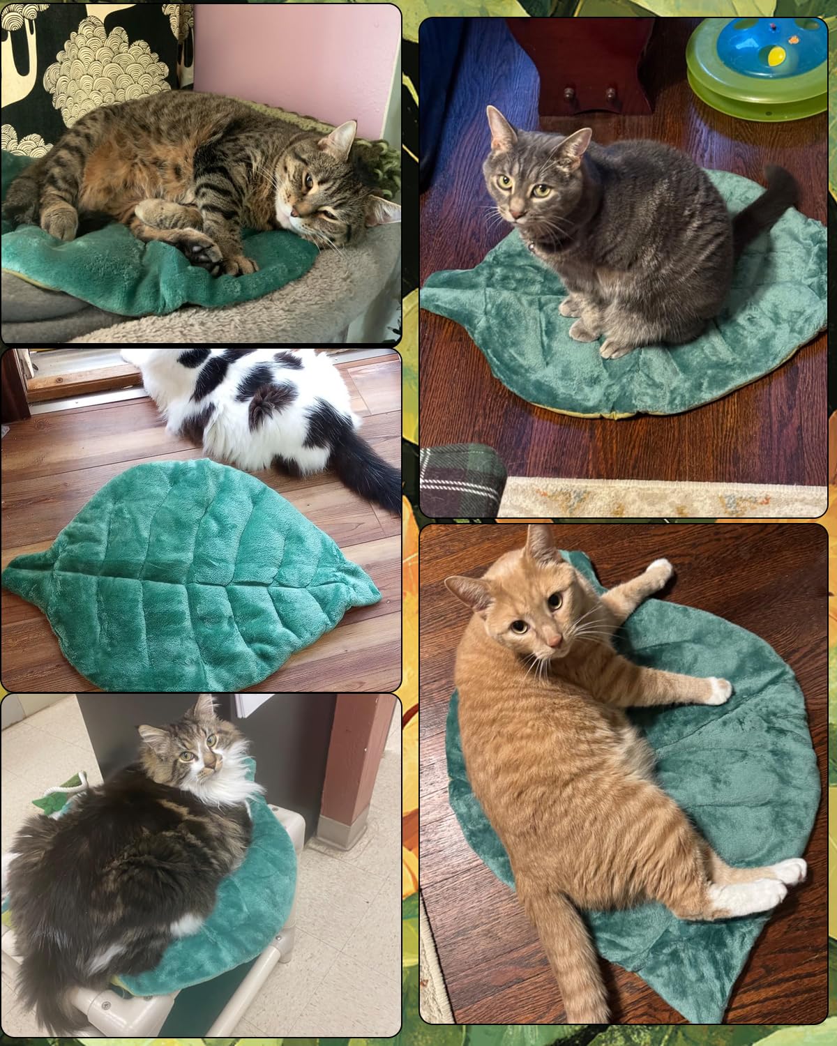Rzxlszy cat mat durable construction withstands daily use