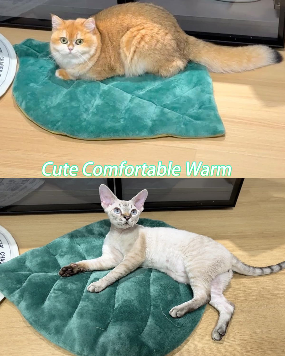 Rzxlszy cat mat travel-ready for trips and picnics