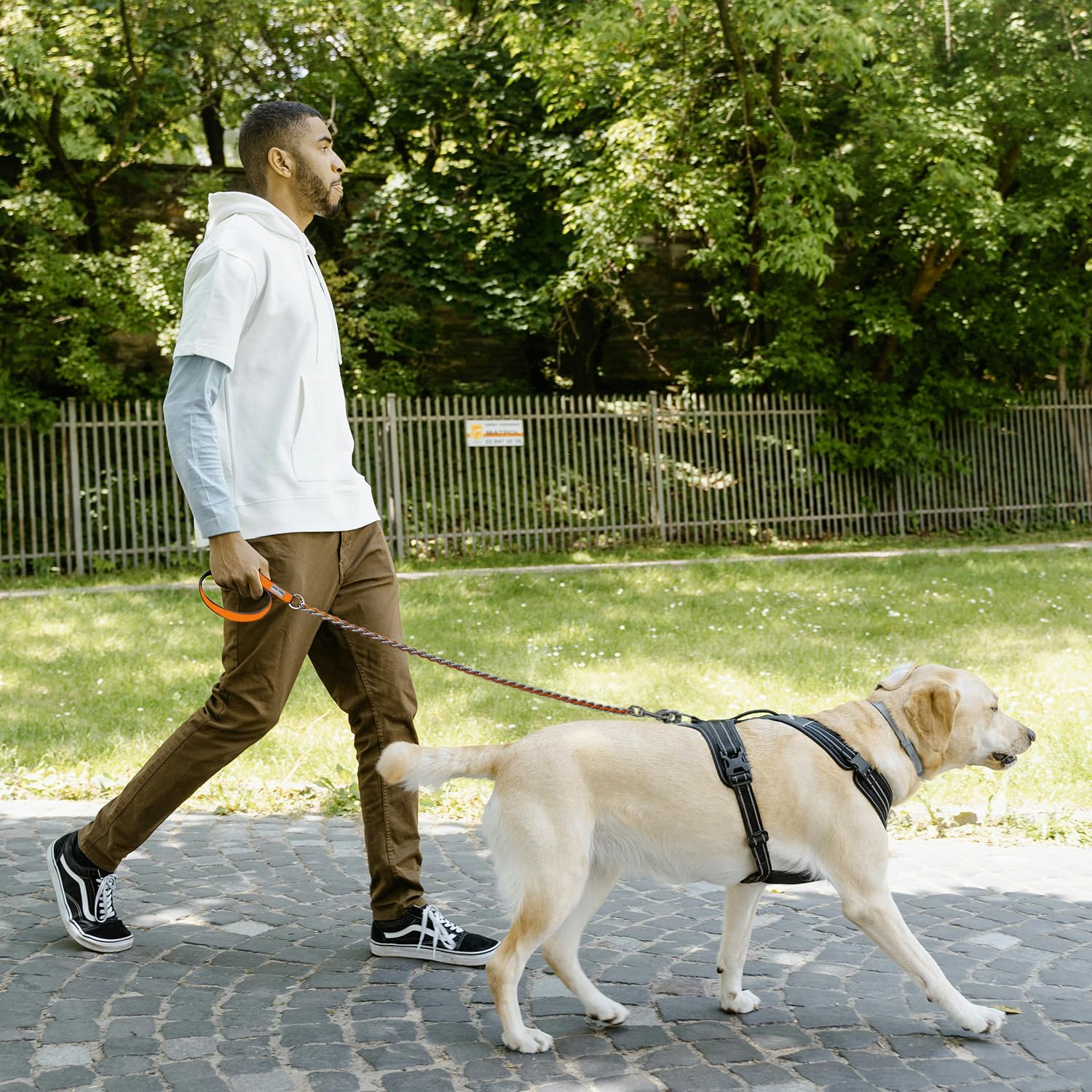 Dog-walking scene featuring a 4ft leash for close control.