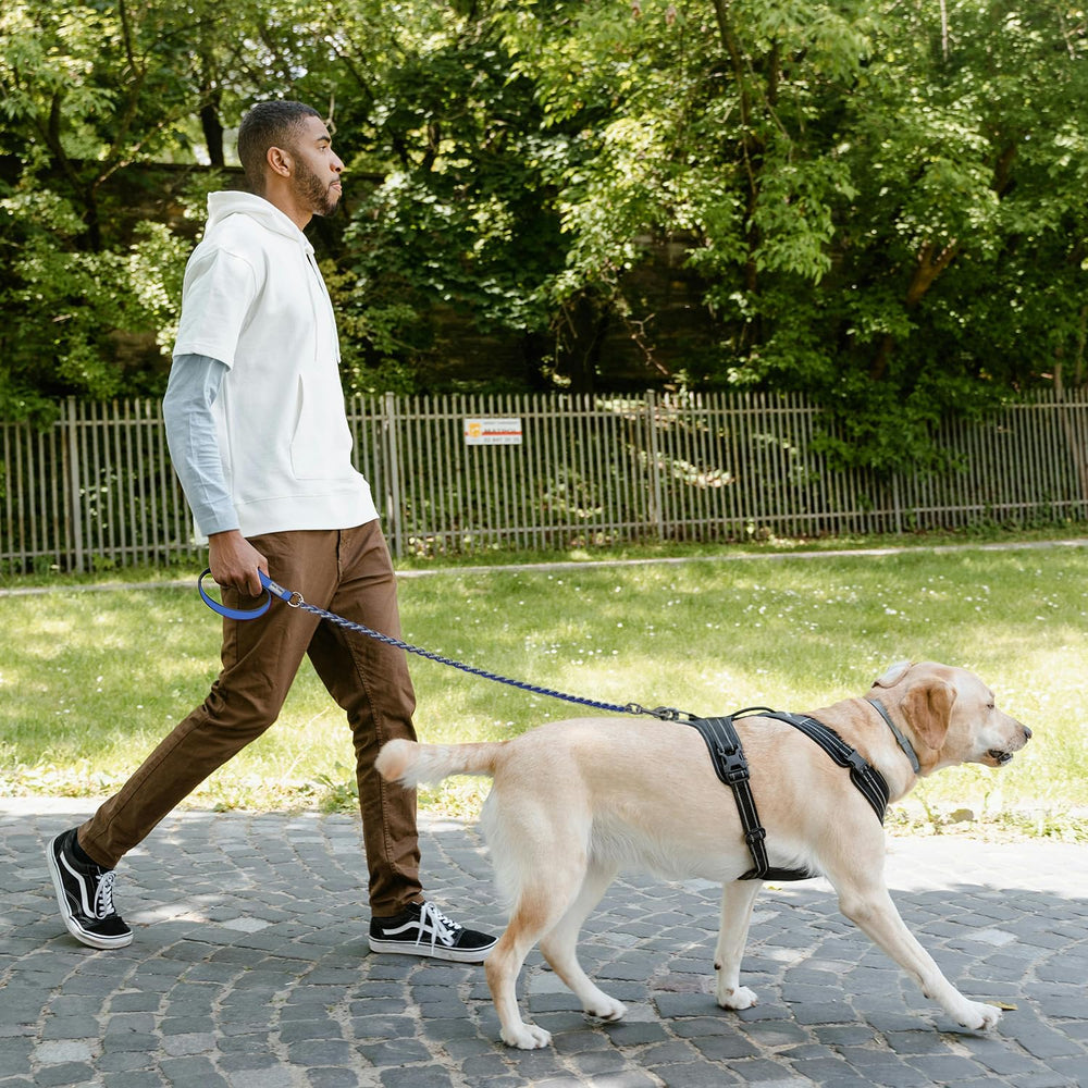 S-ETOVUS chrome-plated leash design resists rust for lasting performance.