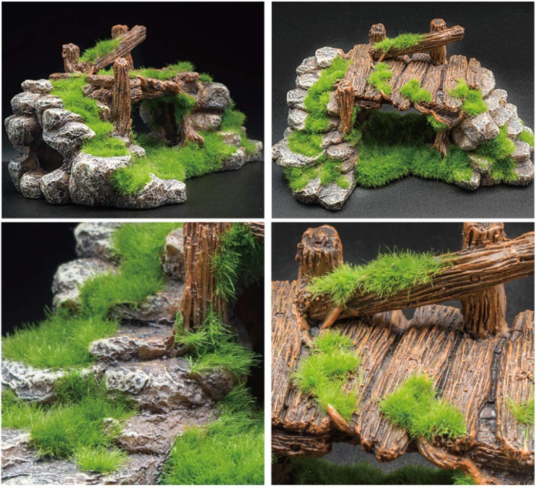 S-Lifeeling moss rockery setup ideas help create engaging layouts.