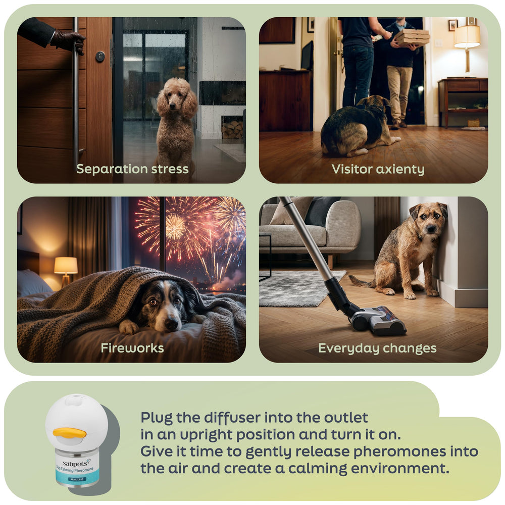 SabPets calming diffuser kit close-up showing design and daily-use accessibility