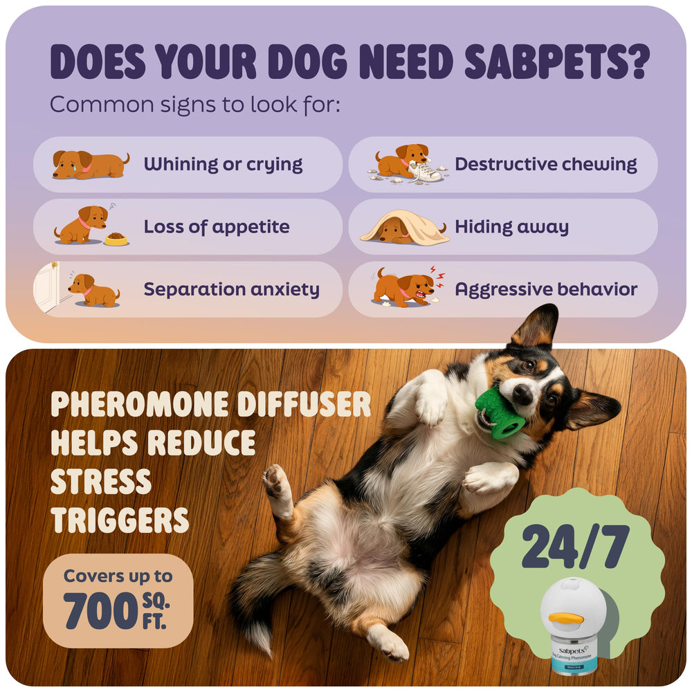 SabPets dog calming diffuser mounted on outlet with soft light indicating continuous calming signals