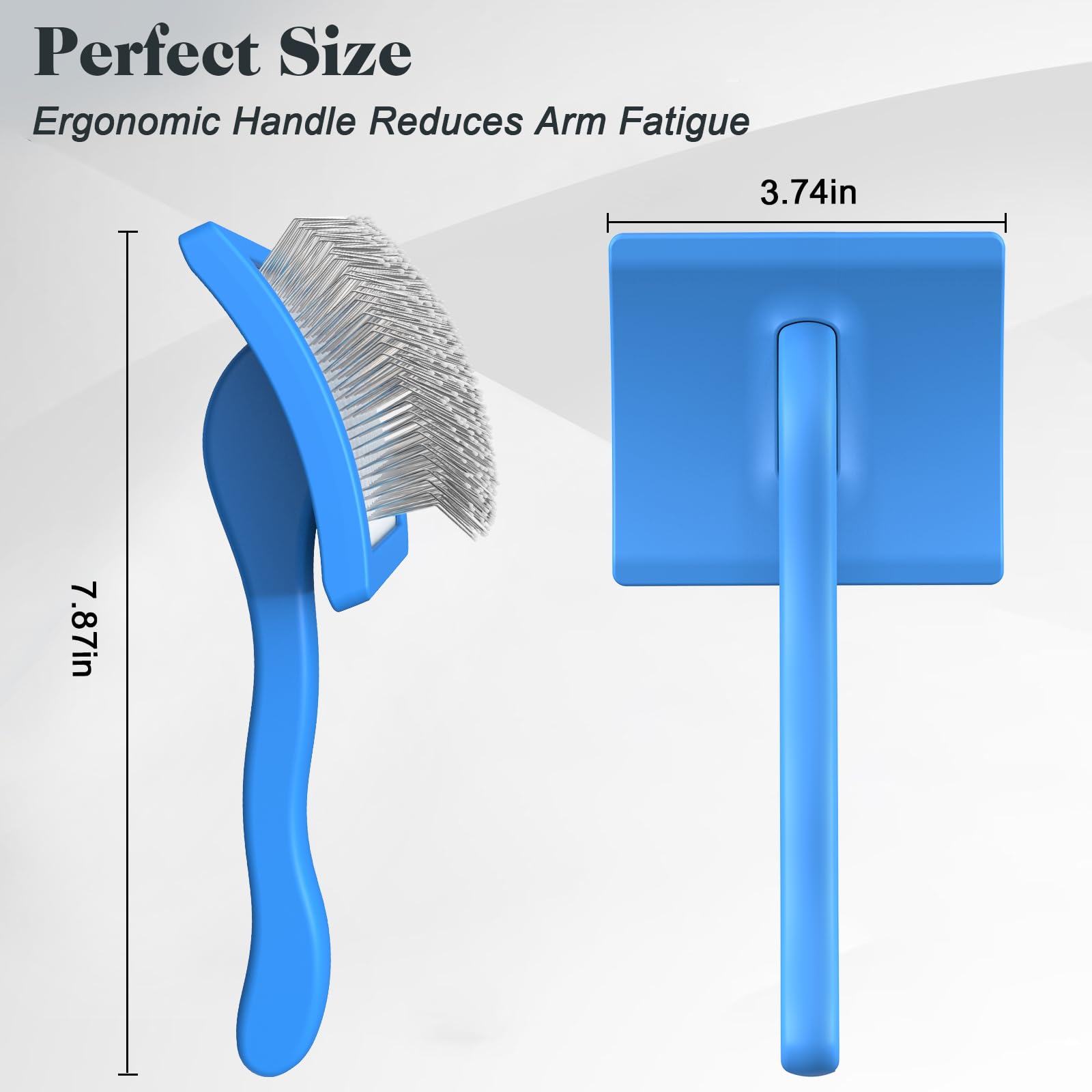 Saccison grooming kit components shown for professional home use