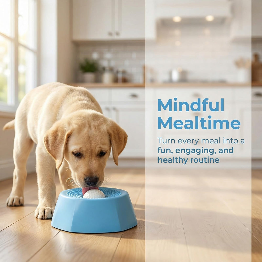 Sadaug anti-slip base keeps the bowl stable during licking sessions