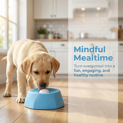 Sadaug anti-slip base keeps the bowl stable during licking sessions