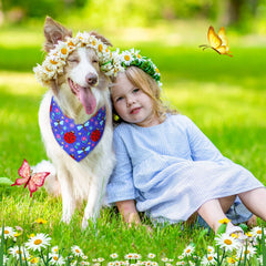 Sadnyy washable dog bandana easy to clean after outdoor adventures.