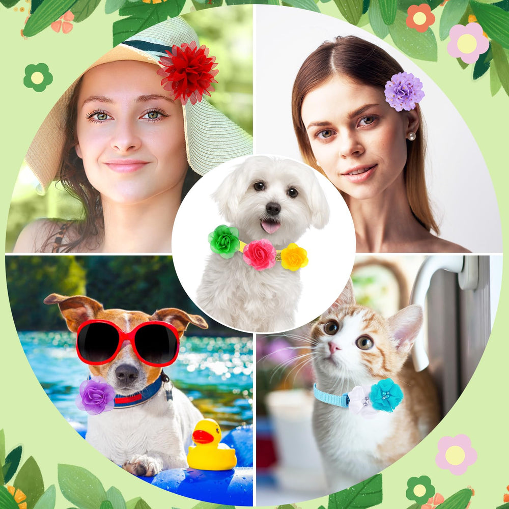 Sadnyy wedding and birthday events bows add charming pet accents.