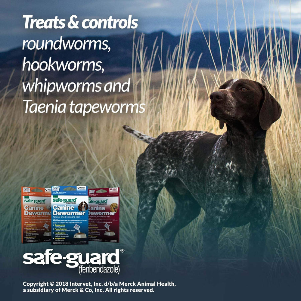 Safe-Guard dosing packet 2g demonstrates daily dose for dogs.