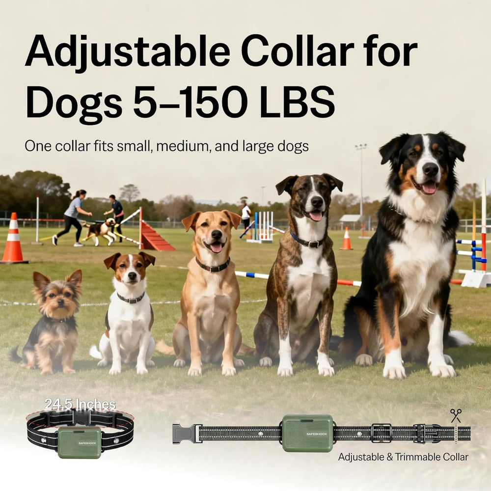 SafeShock IPX7 waterproof collar ready for rain, mud, and outdoor play.