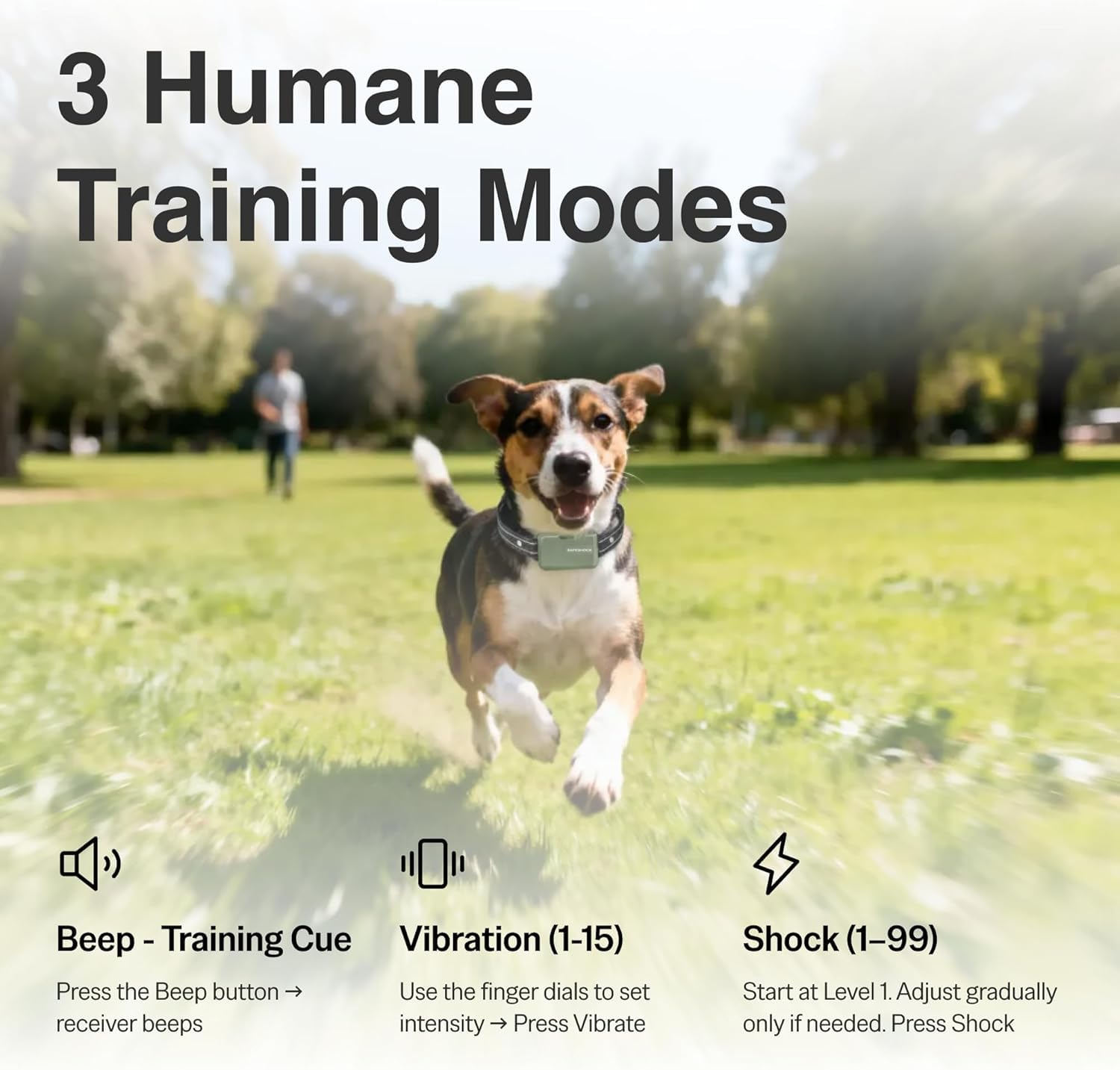 SafeShock remote control transmitter enabling easy cueing during outdoor training.