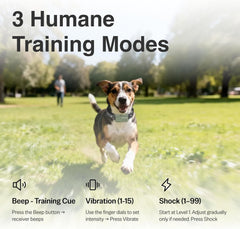 SafeShock remote control transmitter enabling easy cueing during outdoor training.