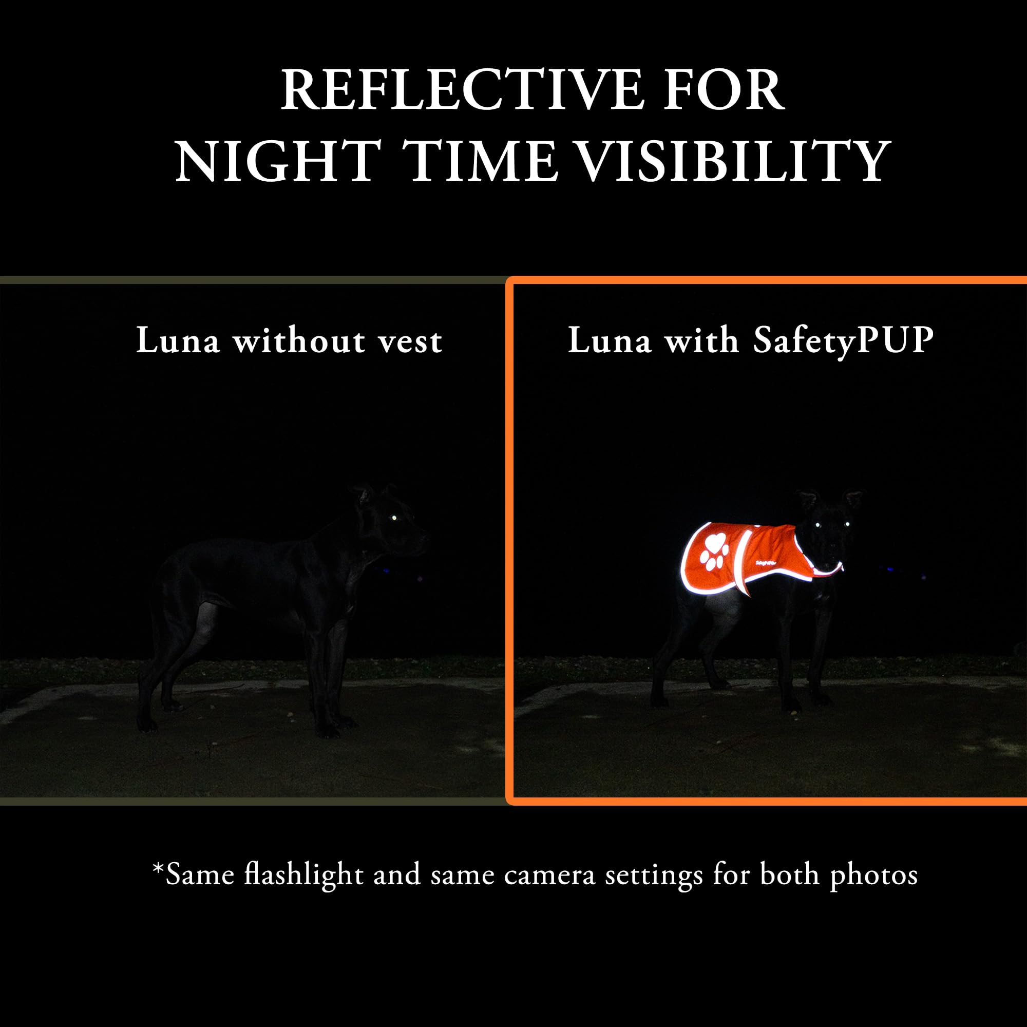 SafetyPUP XD Durable reinforced stitching for outdoor use