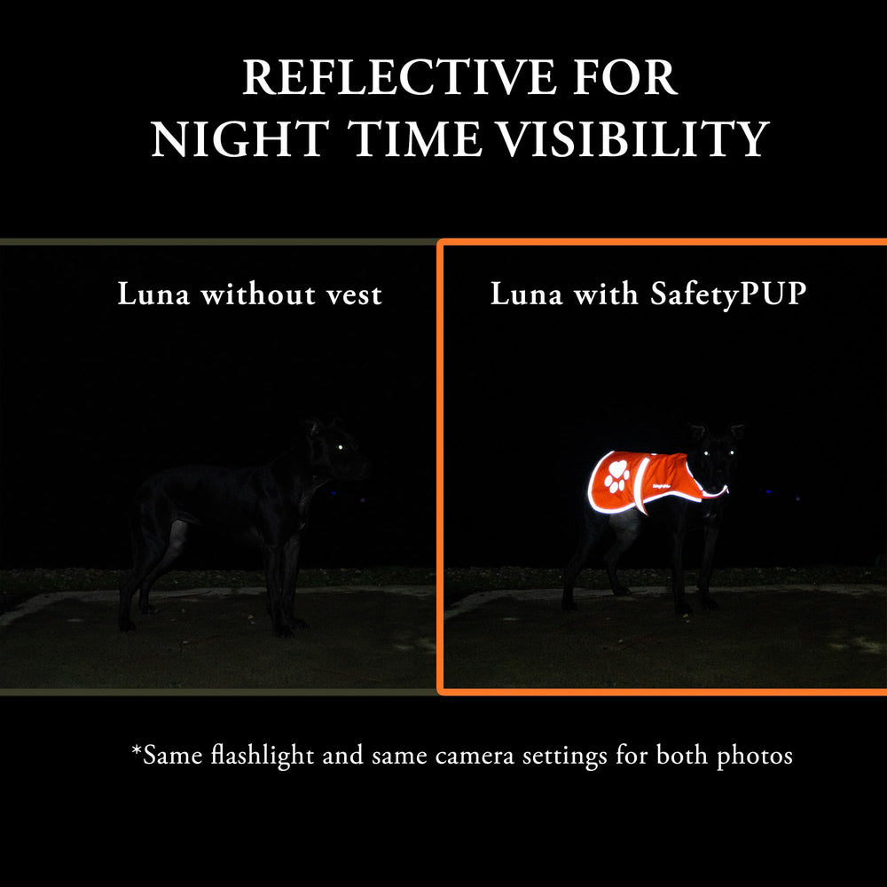 SafetyPUP XD Durable reinforced stitching for outdoor use