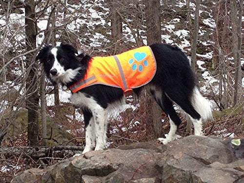 SafetyPUP XD Lightweight quick-dry vest for adventures