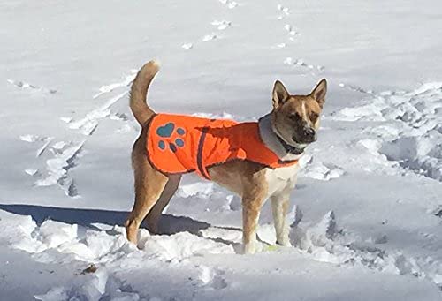 SafetyPUP XD Increased off-leash visibility on trails