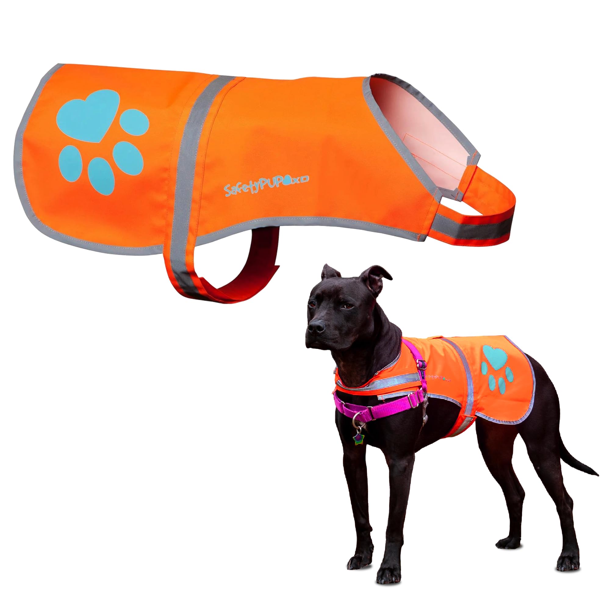 SafetyPUP XD Reflective Vest on dog boosts dusk visibility