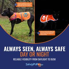 SafetyPUP XD reflective dog vest with side strap shows utility during hikes.