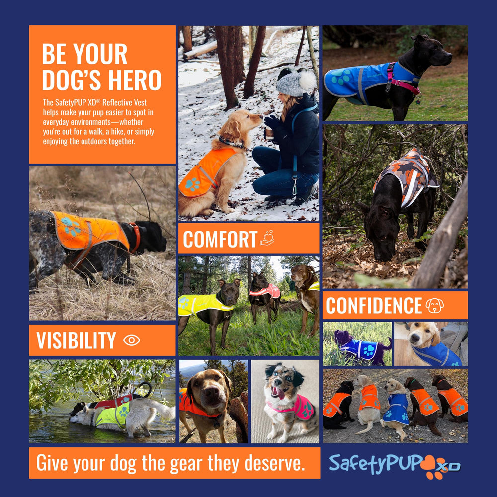 SafetyPUP XD reflective dog vest resists weather for daily adventures.